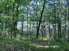 274 Loon Hill Rd photo